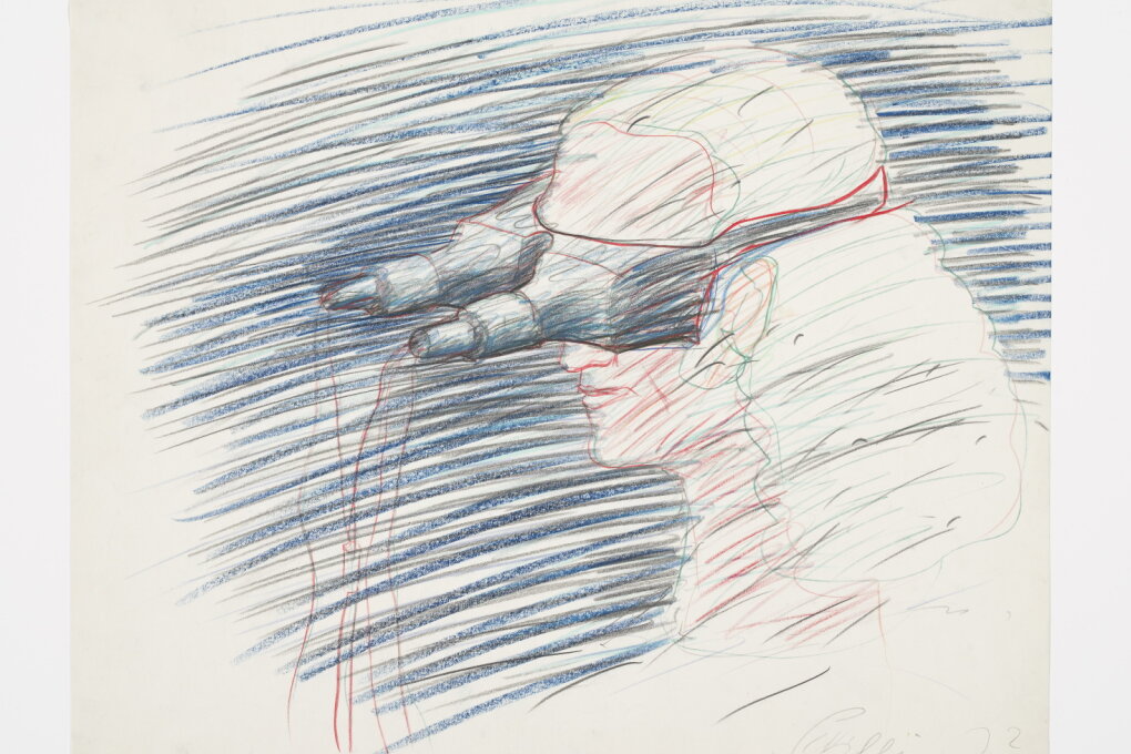 Brainscape & Open Digital Archive